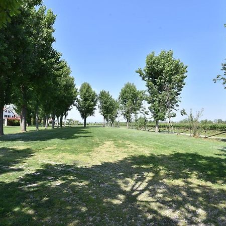 Bed and Breakfast Tenuta Le Risare Campo San Martino Экстерьер фото