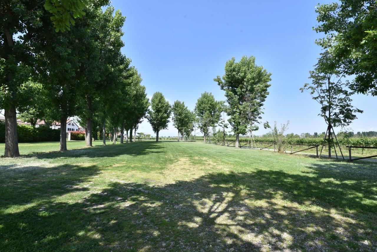 Bed and Breakfast Tenuta Le Risare Campo San Martino Экстерьер фото